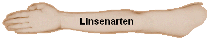 Linsenarten